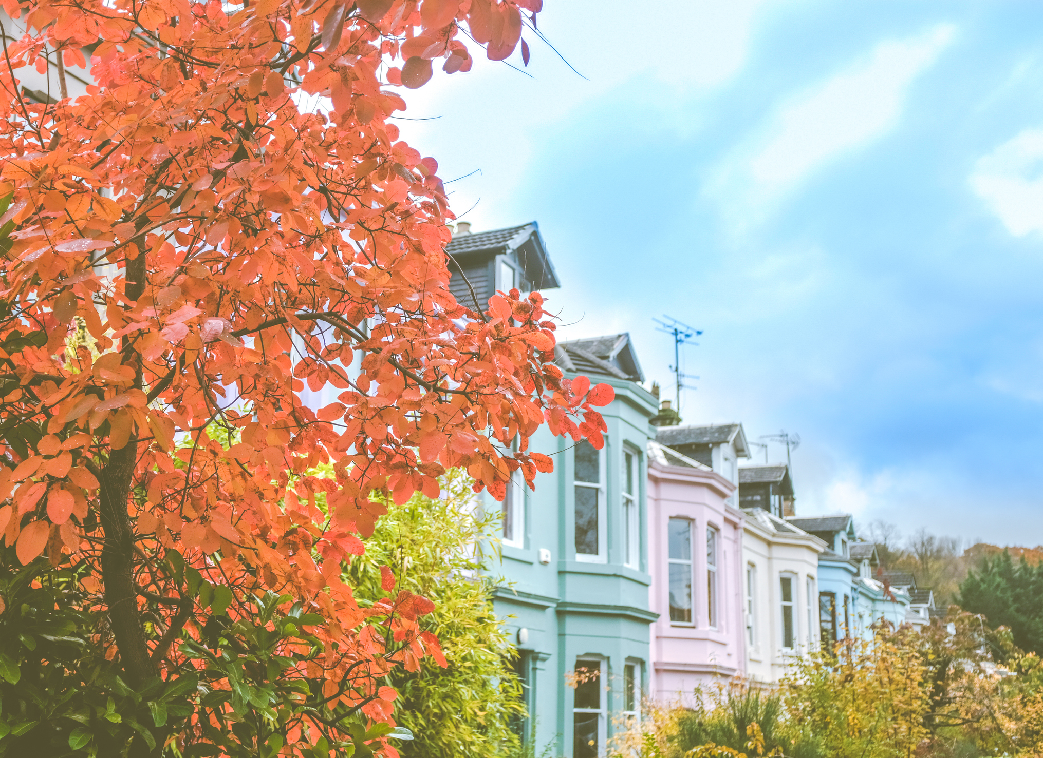 Autumn-property